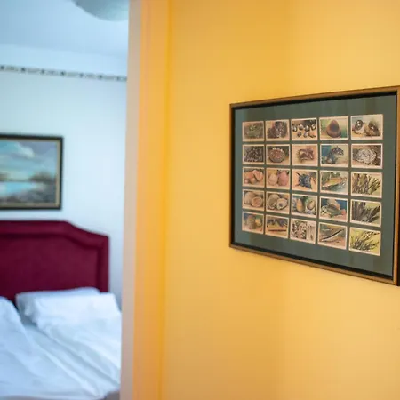 Kiskakas Vendeghaz Appartement